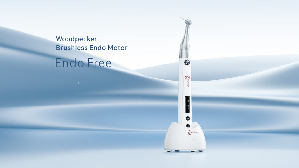 Woodpecker Endo Free (9)
