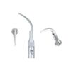 Woodpecker Scaler Tip P1