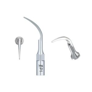 Woodpecker Scaler Tip P1